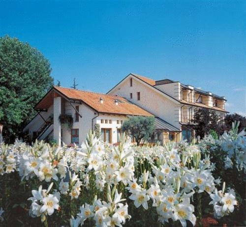 Hotel Ca' Delle Rose Castelfranco Veneto Exterior foto